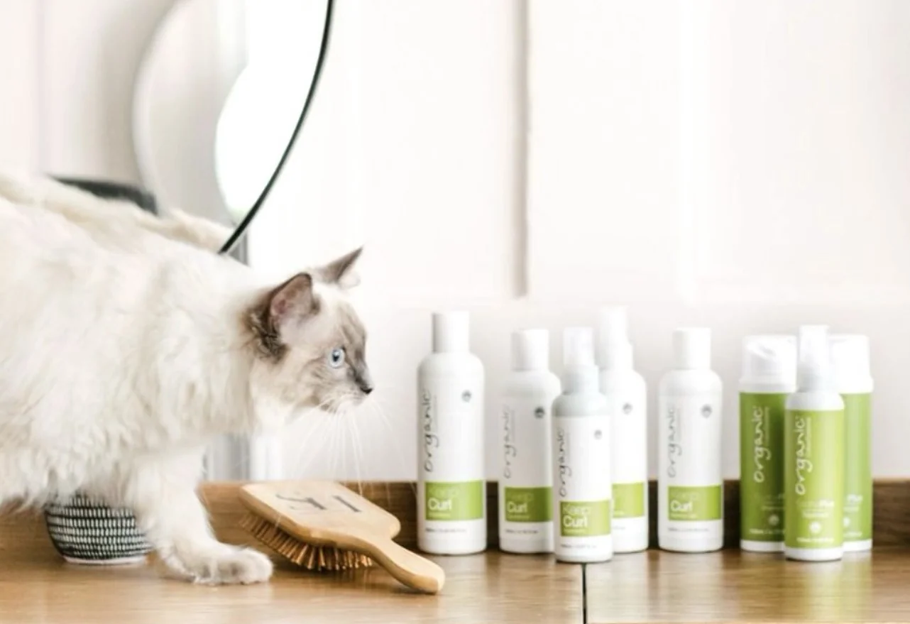 Miss Evie beside hair products