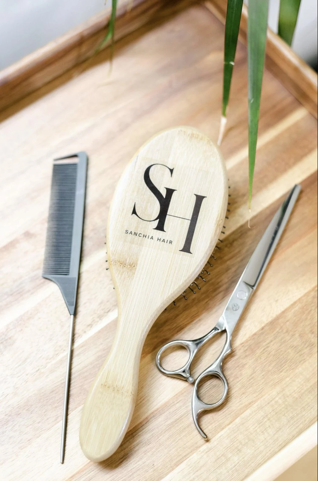 Sanchia Hair brush, combs and scissors